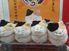 -LLJ夹机占(清河万象汇店)