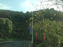 -神光山国家森林公园