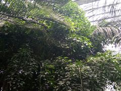 -呀路古热带植物园-恐龙馆