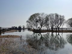 -苏州太湖湖滨国家湿地公园