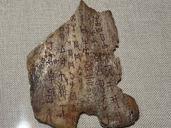 -北京中医药大学-中医药博物馆