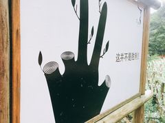 -岳西天峡风景区