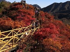 -水峪民俗村
