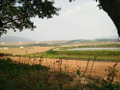 -光明小镇欢乐田园
