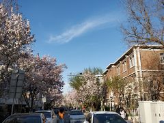 -天津五大道文化旅游区