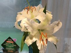 -慢丽江·云南野生菌土鸡锅(付家庄店)