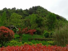 -贵阳市花溪国家城市湿地公园