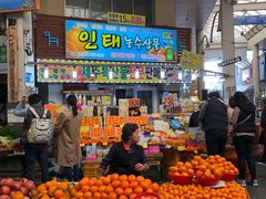 -西归浦每天偶来市场
