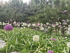 -皇家御河游(紫御湾码头)