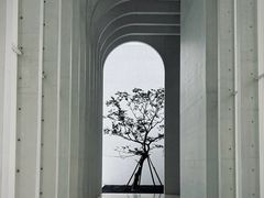 -中国宣纸文化园