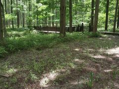 -黄海国家森林公园