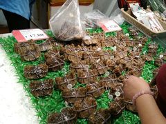 -AEON永旺(东方宝泰店)