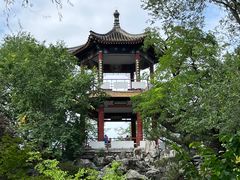 -莲花池公园