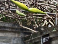-广州神农草堂中医药博物馆
