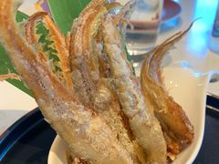 -上海宝华喜来登酒店·采悦轩中餐厅