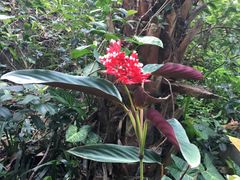 门面-赛百味SUBWAY(地王广场店)