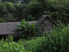 -茅家埠