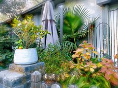 -凤凰御元艺术基地