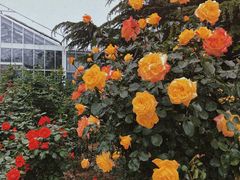 -国家植物园南园