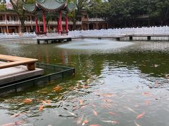 -广东圆玄道观