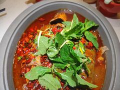 -黔渔翁豆花渎鱼(喷水池店)