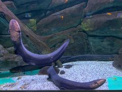 -常州海昌海洋探索馆