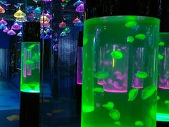 -沙沙哗啦海洋馆(华宇百花谷店)
