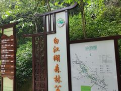 -广州白江湖森林公园