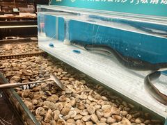 -東盛炭烤自助料理(玄武招商花园城店)