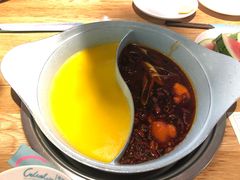 -青瓷火锅料理(西单大悦城店)