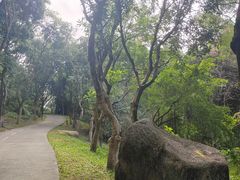 -燕晗山郊野公园
