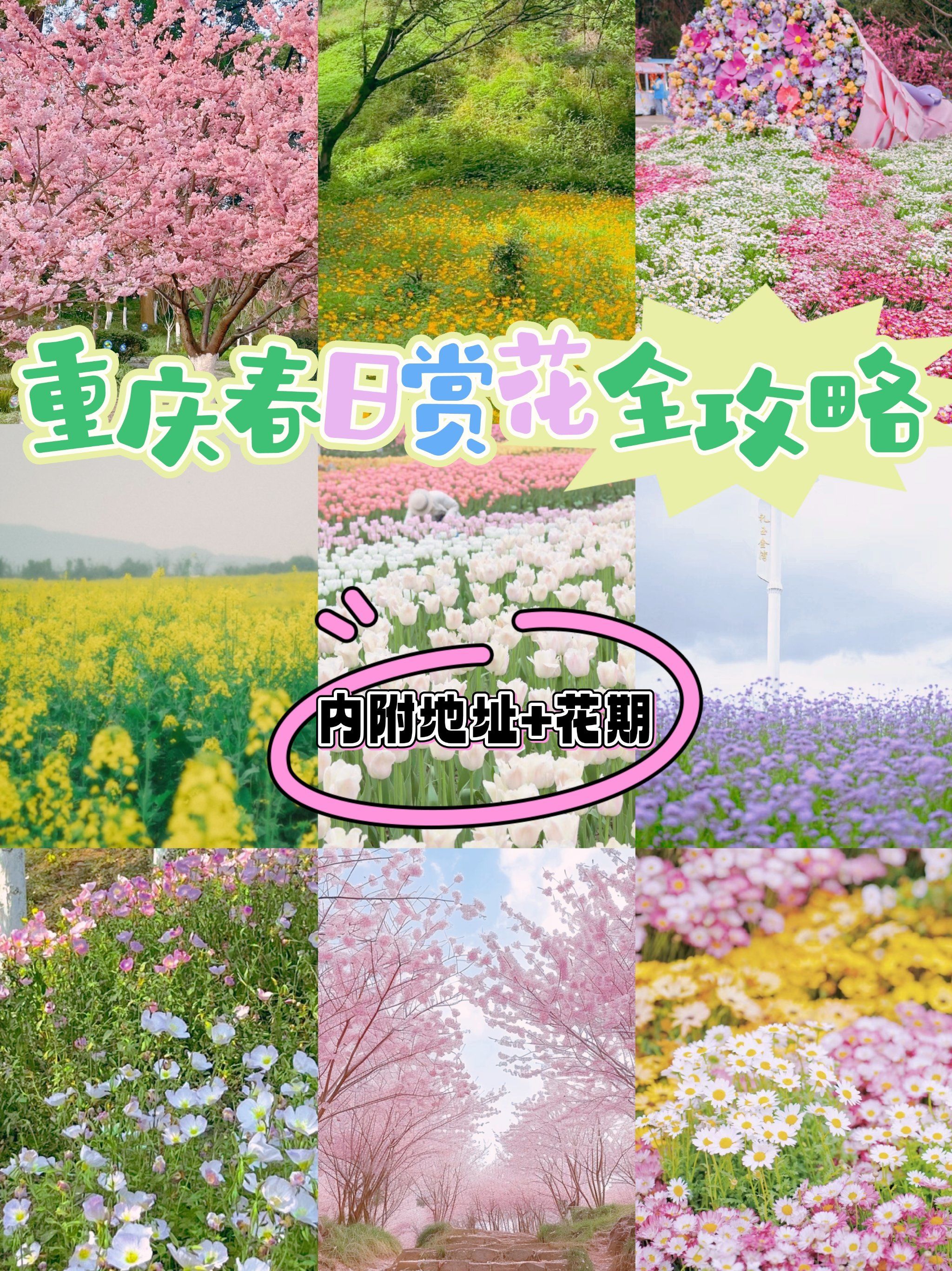 发现了一家宝藏江湖菜97马房湾66号江湖菜