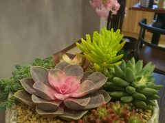 -肆兮眼镜·蔡司·徕卡战略合作店(大坪店)