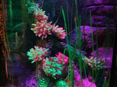 -沈阳海洋探索中心