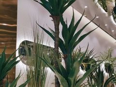 -兰湘子·湘菜小炒(崂山丽达店)