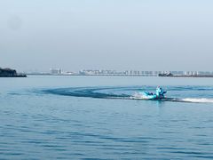 -瑶湖郊野森林公园