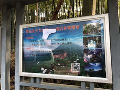 -紫金山索道-售票处