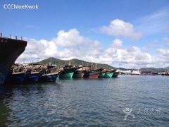 商户图片-海上驿站渔家菜馆