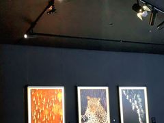 -罗红摄影艺术馆