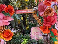 -正佳雨林生态植物园