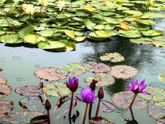 -国家植物园南园