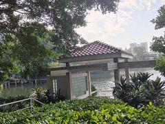 -荔湾湖公园