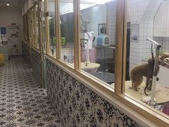 -可蒙动物医院·猫科·骨科中心(首义路店)