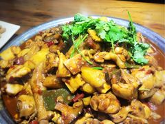 -农夫大盘鸡(经八路总店)