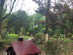 -邓小平故里
