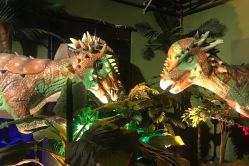 点击看大图 -恐龙探索乐园(磁器口店)