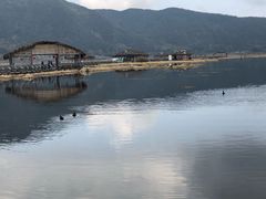 -腾冲北海湿地
