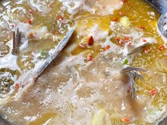 -鲜椒鱼·雅安地标性美食