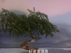 -卢大鲜鱼头捞饭(美利广场店)