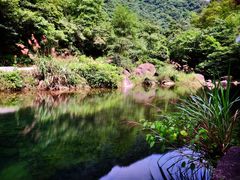 -白云源风景区